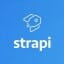 Building web applications with Strapi Headless CMS