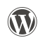 Web development with wordpress